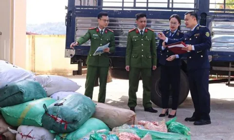 Bí mật giấu kín trong 40 bao tải trên xe ô tô đậu ven đường