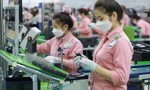 Động lực nào giúp xuất nhập khẩu cán mốc kỷ lục 900 tỷ USD?