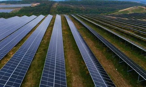 Nhà máy điện mặt trời 160 MW “mọc” ở nơi không ngờ
