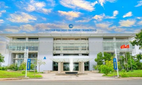 Phê duyệt chủ trương thành lập Phân hiệu Trường Đại học Tài chính - Marketing tại tỉnh Quảng Ngãi