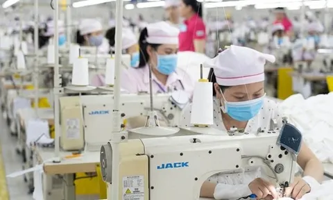 Công ty Panko Vina ngưng hoạt động: Chiều nay, đoàn liên ngành làm việc với doanh nghiệp