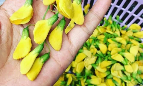 Đặc sản miền Tây: Xưa mọc dại bờ ao, nay thành "lộc trời", hơn 200.000/kg vẫn đầy người mua