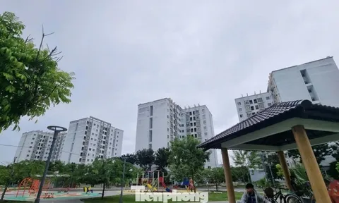 Giá thuê nhà ở xã hội tại Đà Nẵng sẽ biến động ra sao?