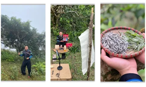 Người kể câu chuyện Phình Hồ bằng trà, mây và công nghệ