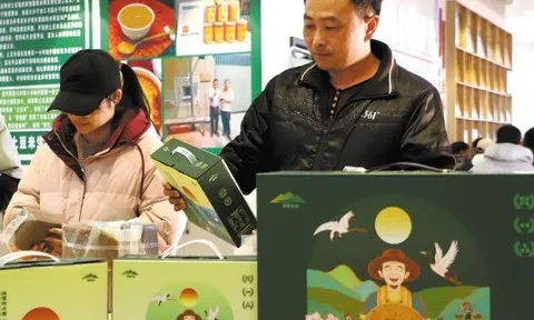 Phát minh của Trung Quốc làm rung chuyển ngành lương thực: Tạo ra giống gạo khoai tây thay thế gạo truyền thống, tăng 27% hàm lượng protein so với thông thường