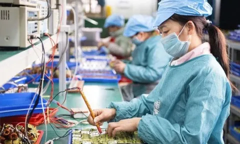 Gần 17,2 nghìn doanh nghiệp thành lập mới trong tháng cuối năm 2025