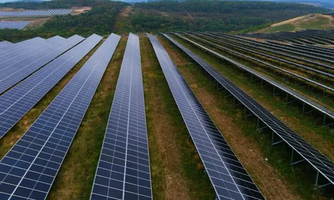 Nhà máy điện mặt trời 160 MW “mọc” ở nơi không ngờ