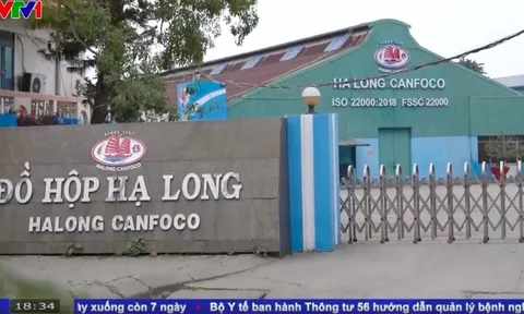 Công ty đồ hộp Hạ Long trước vụ 120 tấn thịt lợn nhiễm bệnh: Doanh thu gần nghìn tỷ mỗi năm, từng là Top 50 doanh nghiệp mạnh ASEAN 2024