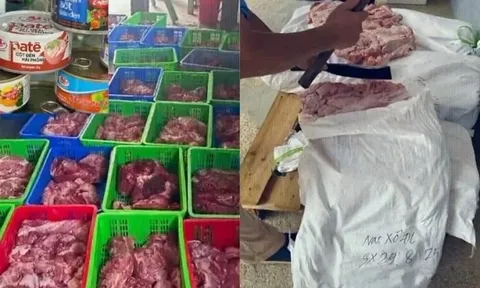 Vụ 120 tấn thịt lợn dịch tả: Lộ diện 9 bị can bị khởi tố, Đồ hộp Hạ Long tuyên bố "Công ty chỉ là bên có liên quan"