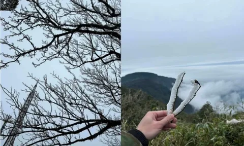 Thầy cô vùng cao làm gì để phòng chống rét đậm, rét hại cho học sinh?