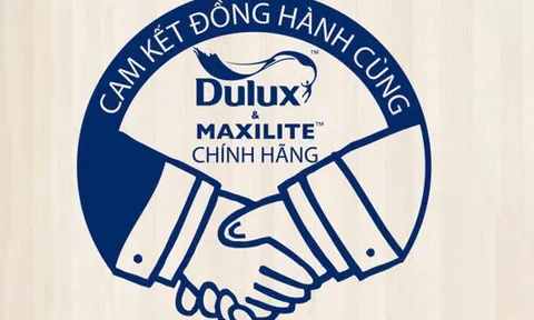 AkzoNobel đẩy mạnh giải pháp chống sơn giả Dulux Maxilite trên thị trường Việt Nam hiện nay
