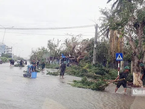 Trên 90% các chợ tại Hải Phòng bị ảnh hưởng sau bão