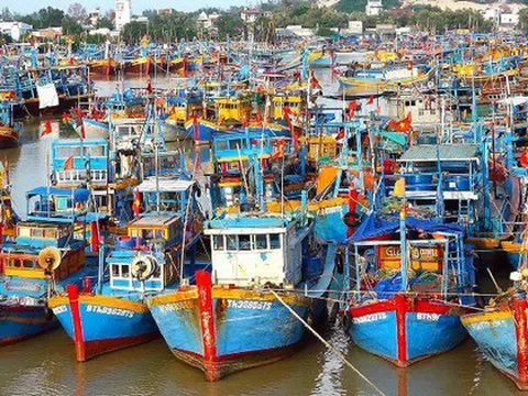 EC chưa chốt ngày đến Việt Nam thanh tra, xem xét gỡ "thẻ vàng" IUU