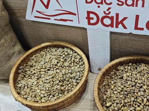 Sốc nặng với giá cà phê Robusta