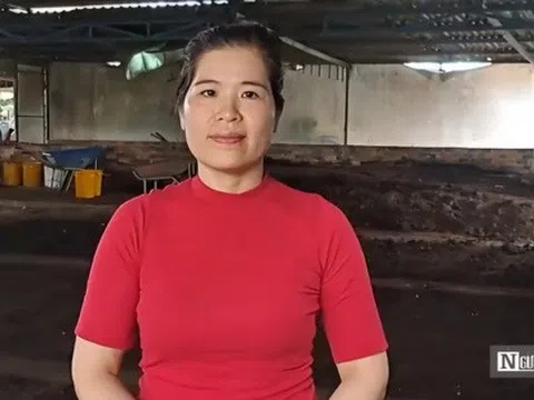 "Hô biến" chất thải gà vịt thành trang trại tiền tỷ, người phụ nữ thu về 40 triệu đồng/tháng