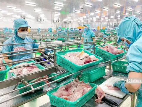 Ngành nông nghiệp xuất siêu trên 68% trong 8 tháng đầu năm