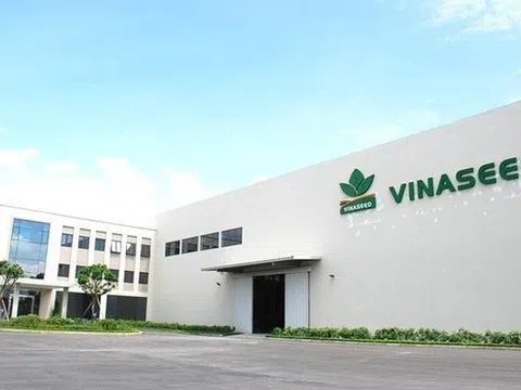 Vinaseed: Giảm tiền gửi, tăng nợ vay