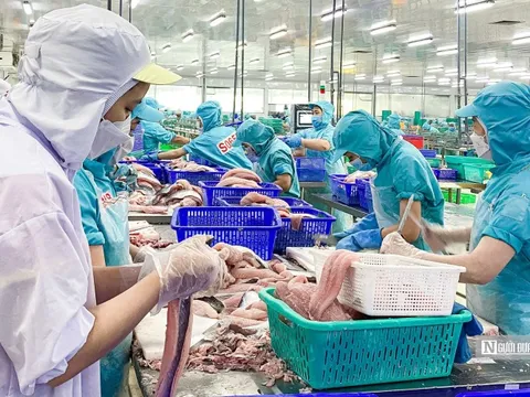 Ngành nông nghiệp có 6 mặt hàng xuất khẩu thuộc nhóm tỷ USD