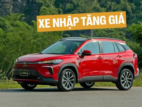 Xe Toyota nhập khẩu tăng giá: Alphard tăng tới 149 triệu, Innova Cross không còn rẻ hơn Custin, Corolla Cross sơn đỏ thành màu đặc biệt