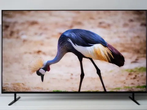 Vì sao TV Sony BRAVIA là lựa chọn hàng đầu để xem phim dịp Tết này?