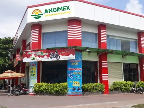 Angimex bị phạt do vi phạm quy định giao dịch cổ phiếu