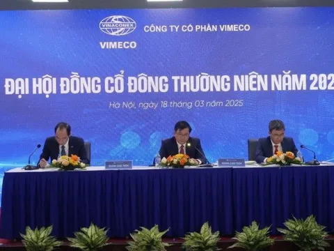 ĐHĐCĐ Vimeco: Đẩy mạnh mảng xây lắp, bất động sản sau khi Vinaconex thoái vốn