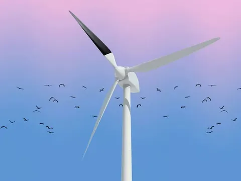 Lý do turbine điện gió ngoài khơi ở Vương quốc Anh được sơn màu đen