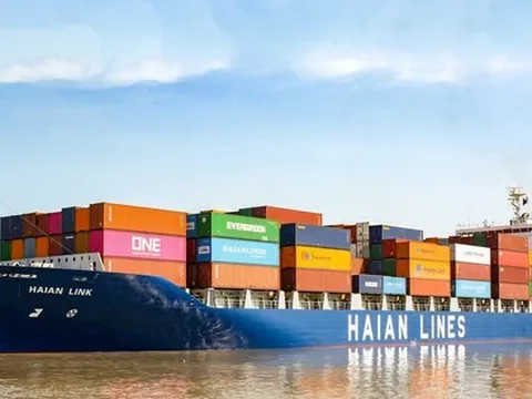 Chuyển đổi hơn 200 tỷ trái phiếu thành cổ phiếu của công ty sở hữu đội tàu container lớn nhất Việt Nam, nhóm SSIAM lãi gấp đôi sau 1 năm