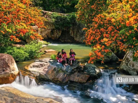 Hàng ngàn du khách đổ về suối Tà Má thưởng ngoạn hoa trang