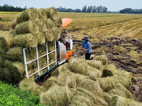 Agritechnica Asia 2025: Cơ hội thúc đẩy nông nghiệp xanh tại Việt Nam