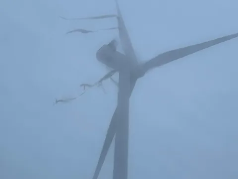 Sự cố với turbine khiến trang trại điện gió 130MW phải đóng cửa