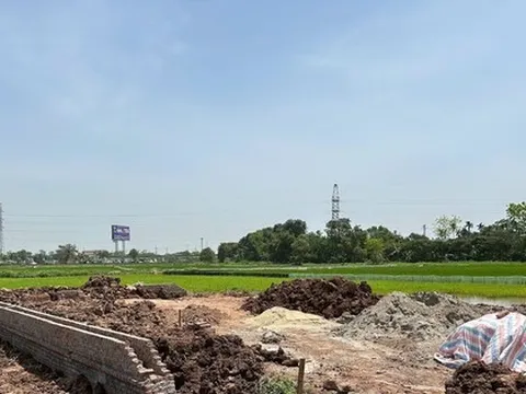 Hà Nội: Để xảy ra vi phạm về đất đai, 2 chủ tịch xã bị tạm đình chỉ