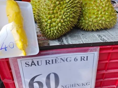 Sầu riêng loạn giá, xuất khẩu giảm sâu