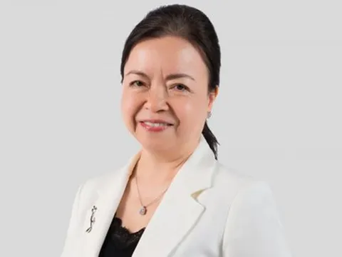 REE báo lãi tăng 49% quý đầu năm, bà Nguyễn Thị Mai Thanh nhận lương bao nhiêu?
