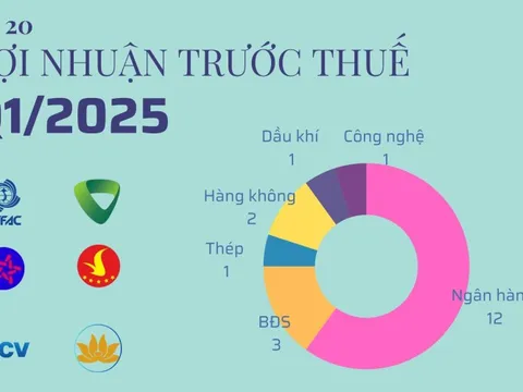 20 cái tên lãi lớn nhất quý 1/2025: Ngân hàng và BĐS áp đảo, chỉ có duy nhất 1 doanh nghiệp sản xuất
