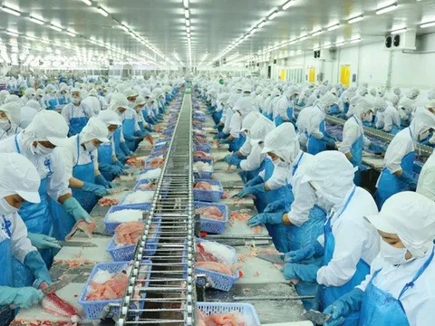 Vĩnh Hoàn tăng trưởng hai chữ số nhờ giá cá tra cải thiện