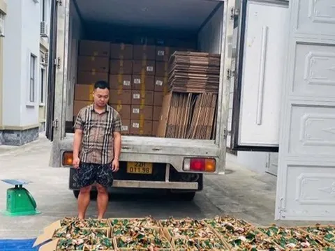 Thu giữ 5,3 tấn chân gà rút xương không rõ nguồn gốc tại Tuyên Quang