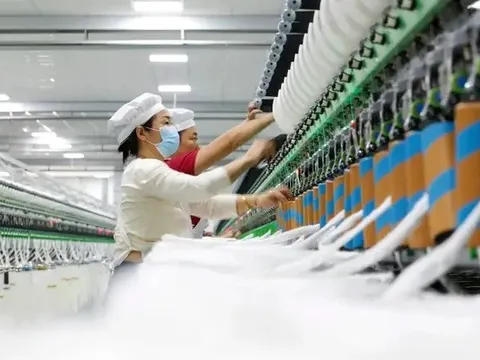 Muôn hình vạn trạng phản ứng của doanh nghiệp Việt trước chính sách thuế quan Mỹ