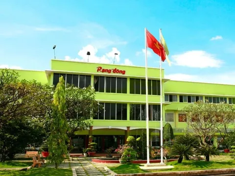 Xuất hiện 1 công ty mới tinh có logo giống biểu tượng ngành nhựa 65 năm tuổi, loạt công ty liên quan Rạng Đông đổi CEO trước "thảm họa" ĐHCĐ