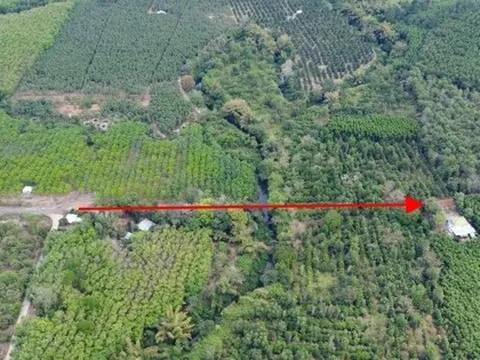 Nghiên cứu, rà soát kỹ phương án đầu tư đường kết nối Bình Phước - Đồng Nai qua cầu Mã Đà