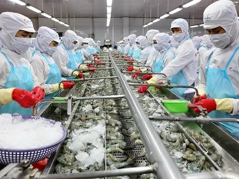 "Vua tôm" Minh Phú thoát lỗ nhờ tiết giảm chi phí