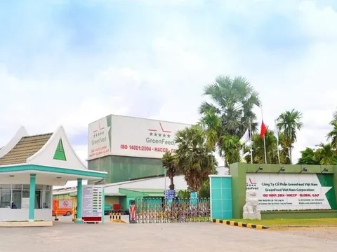 GreenFeed "vượt mặt" Dabaco, BAF, HAGL