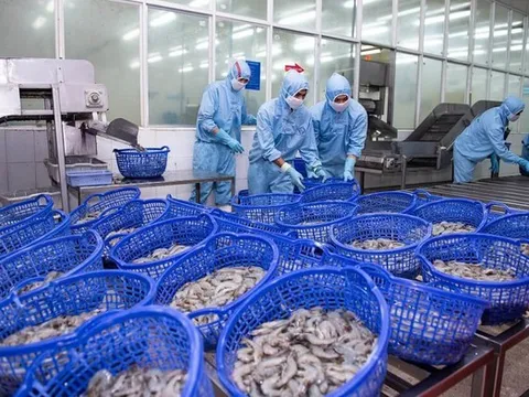 Ngành thủy sản quý I/2025: Sóng phục hồi đã nổi