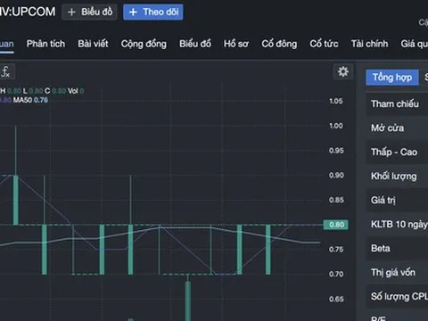 Một công ty ứng gần 96% tài sản cho tổng giám đốc đi đầu tư tài chính
