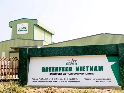 "Đại gia" chăn nuôi Long An đột ngột báo lãi kỷ lục 2.100 tỷ đồng, vượt mặt Dabaco, nông nghiệp Hoà Phát, BAF