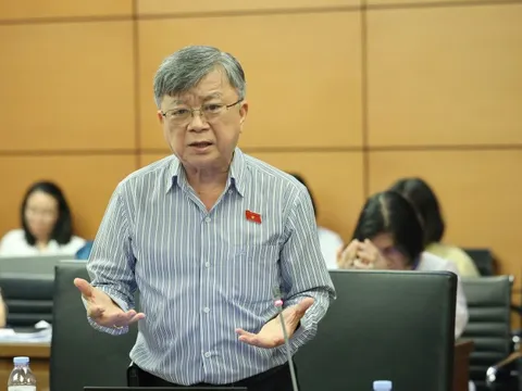 Băn khoăn việc không xử lý hình sự khi DN nợ bảo hiểm hàng nghìn tỷ đồng