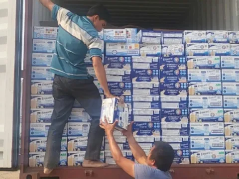 Khởi tố một cán bộ hải quan tiếp tay buôn lậu hơn 4.000 thùng sữa từ Mỹ về Việt Nam