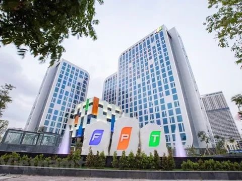 Công ty họ FPT sắp trả cổ tức tiền mặt tỷ lệ 100%