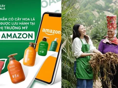 Tuổi trẻ xông pha, nông sản vươn xa: Cỏ Cây Hoa Lá đổ bộ Amazon