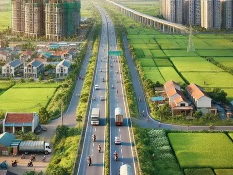 Chuyển mục đích sử dụng đất trồng lúa sang đất ở tại nông thôn, có phải trình Hội đồng nhân dân tỉnh?
